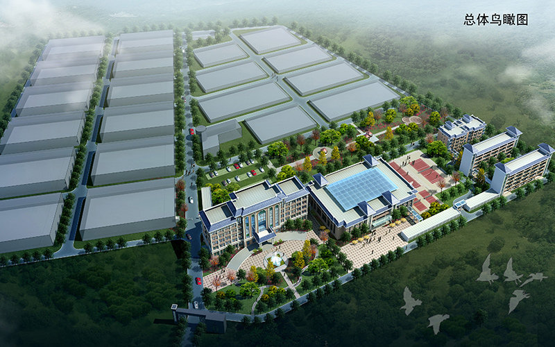 市政道路工程監(jiān)理工作舉措，都可以從哪些層面分析